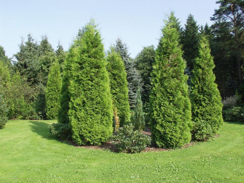 Ferienpark Leitzingen Soltau Exterior foto
